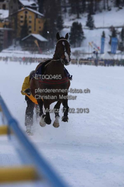 ET0Q0465 prot